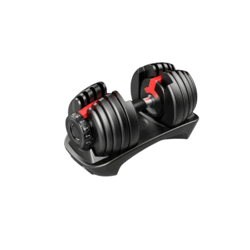 SMARTLIFT 55LB DUMBBELL